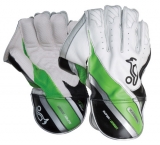 Wicket Keeping Gloves